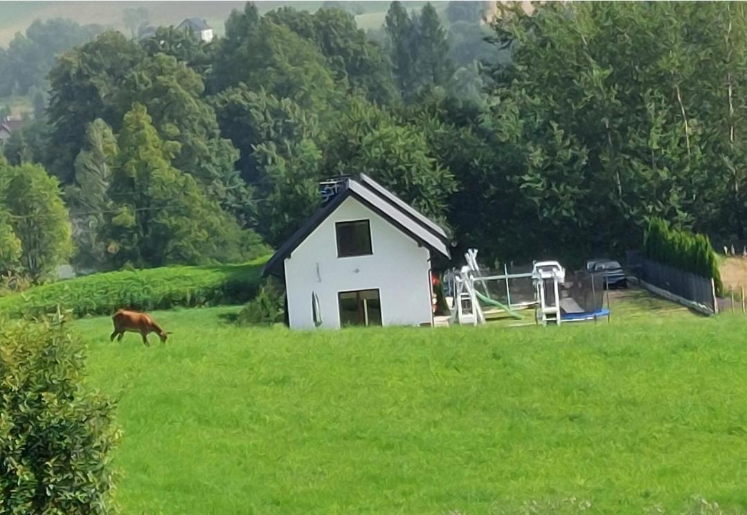 Domek Pod Holica Bieszczady Villa Ustrzyki Dolne Kültér fotó