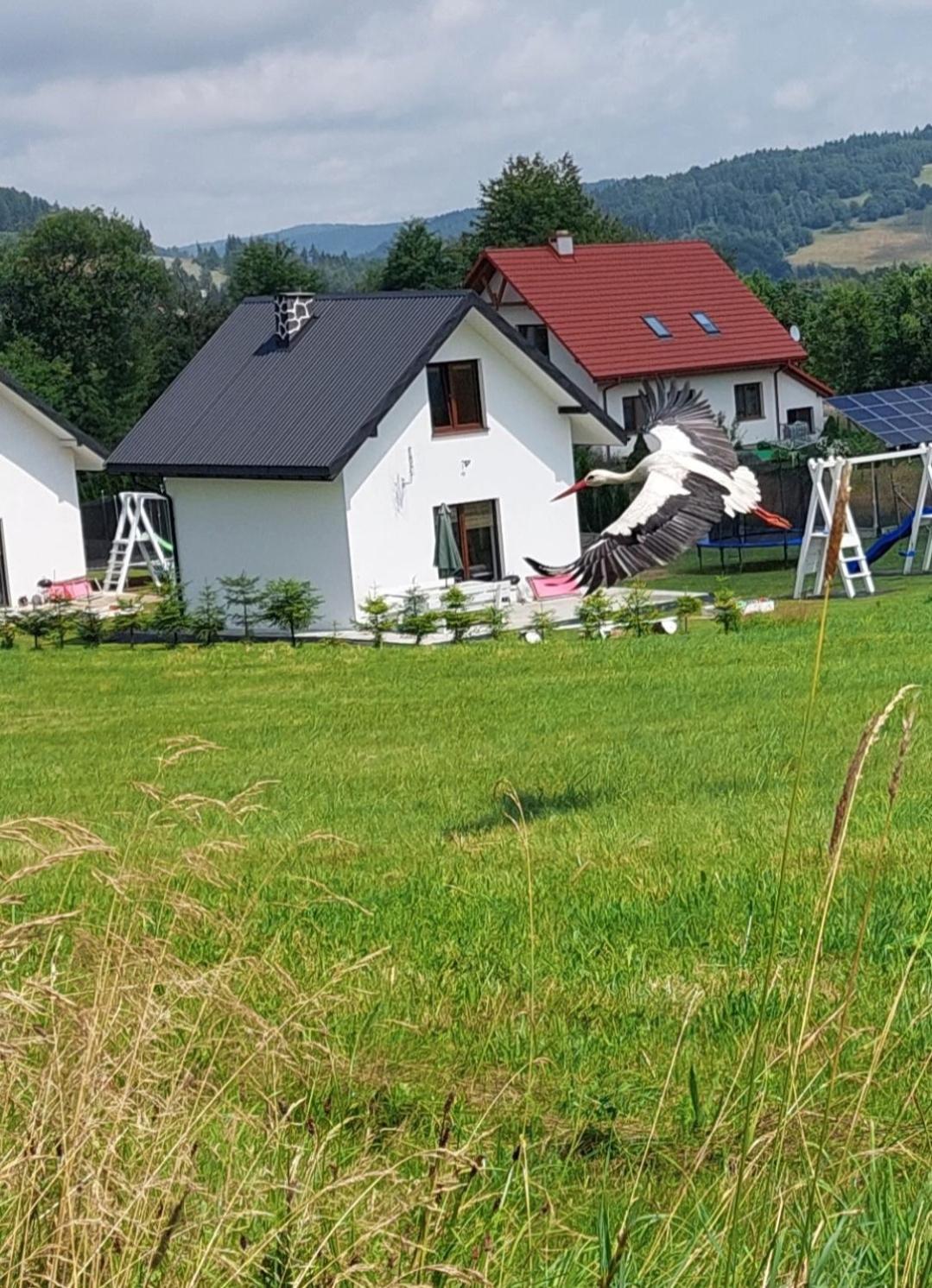 Domek Pod Holica Bieszczady Villa Ustrzyki Dolne Kültér fotó